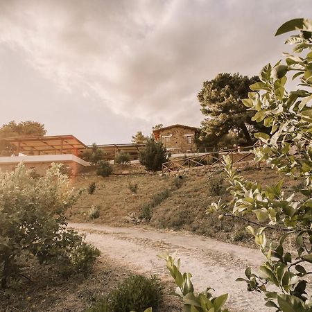Casale 700 Bed & Breakfast Amendolara Bagian luar foto