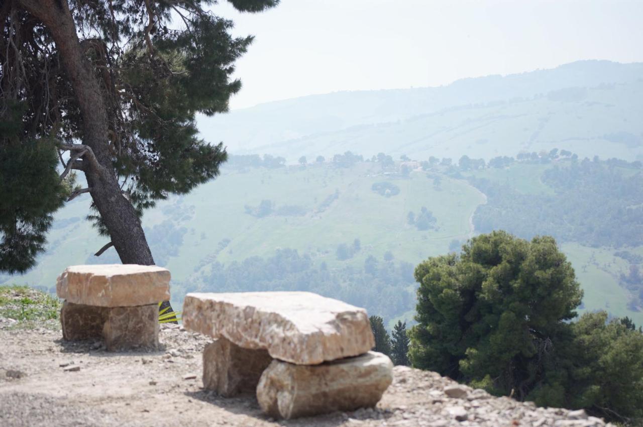 Casale 700 Bed & Breakfast Amendolara Bagian luar foto