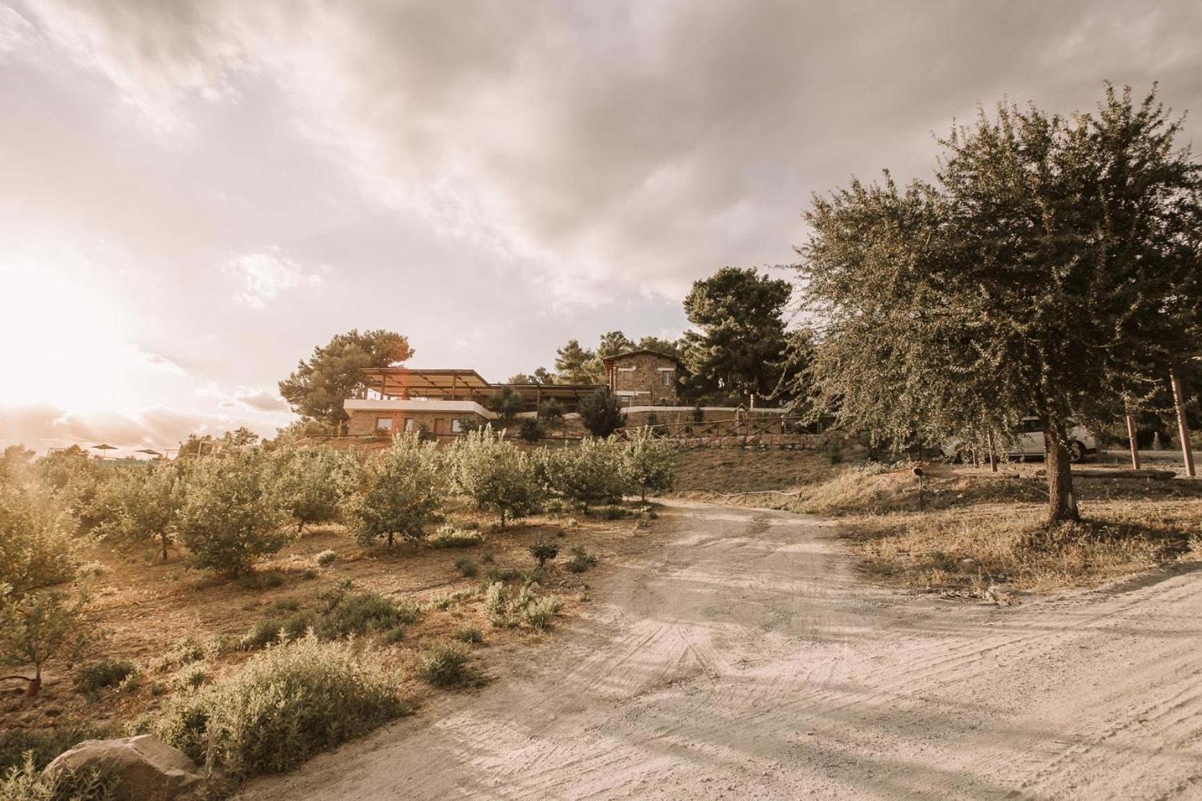 Casale 700 Bed & Breakfast Amendolara Bagian luar foto
